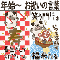 [LINEスタンプ] 【Big】パグさん 『お祝いの言葉』2025