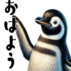 [LINEスタンプ] リアルなペンギン1【日常編】