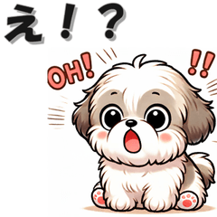 [LINEスタンプ] 毎日シーズー 挨拶返答編 イヌ いぬ 犬