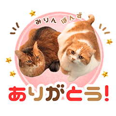 [LINEスタンプ] ぽんずとみりんの使いやすいスタンプ2