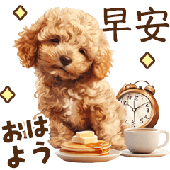 [LINEスタンプ] トイプードルの中国語スタンプ