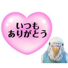 [LINEスタンプ] 気持ちを伝えるインコのぽっちゃん