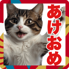 [LINEスタンプ] 猫ミーム☆年末年始【お正月・あけおめ】