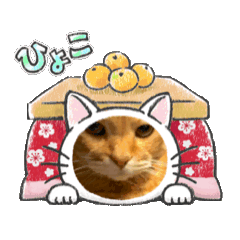 [LINEスタンプ] 動く！小梅カンパニーの画像（メイン）