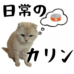 [LINEスタンプ] カリン日常で使えるスタンプvol.1