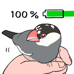 [LINEスタンプ] すけケケの文鳥スタンプ(桜文鳥ごましお)