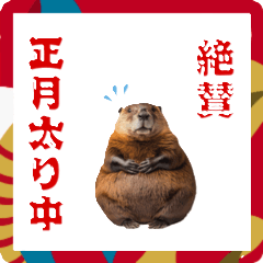 [LINEスタンプ] あけおめビーバー