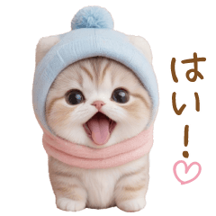 [LINEスタンプ] スコティッシュ猫 感情伝える日常 敬語