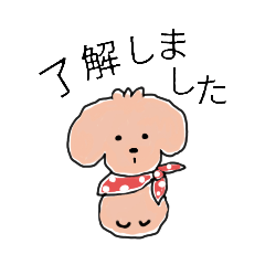 [LINEスタンプ] トイ・プードル ゆずちゃん