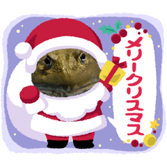 [LINEスタンプ] クリスマス＆お正月のカエルちゃんたち