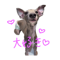 [LINEスタンプ] うちのMax ①