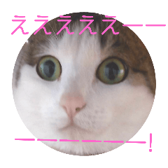 [LINEスタンプ] さえこますたんぷ vol.1