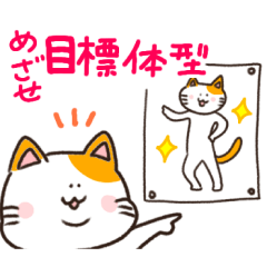 [LINEスタンプ] ダイエット！！おねこちん