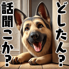 [LINEスタンプ] 壁から覗く犬～シェパード～