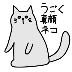 [LINEスタンプ] うごく真顔ネコ