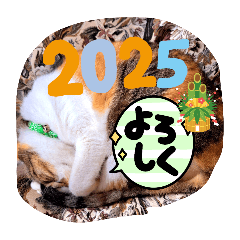 [LINEスタンプ] お正月読み聞かせさんと猫スタンプ