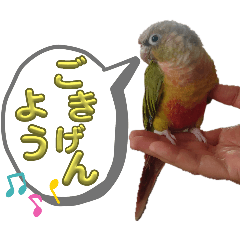 [LINEスタンプ] 動物いろいろ集めました