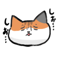 [LINEスタンプ] いろんなねこちゃんすたんぷ