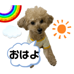 [LINEスタンプ] サーフくんすたんぷ