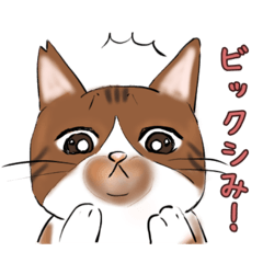 [LINEスタンプ] シミ付きねこ