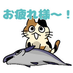 [LINEスタンプ] ネコと鮭の画像（メイン）