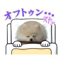 [LINEスタンプ] 動くモコまる