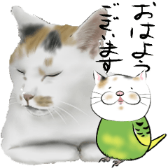 [LINEスタンプ] アレンジ色々 お手持ちのスタンプとも♪