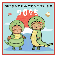 [LINEスタンプ] vanvan＆nonnon♪あけおめスタンプ2025