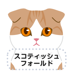 [LINEスタンプ] 色んな猫種のメッセージスタンプ