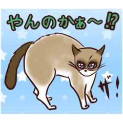 [LINEスタンプ] スノーシュー猫