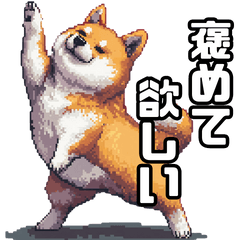 [LINEスタンプ] ゆる〜くシバ犬