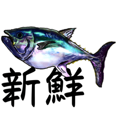 [LINEスタンプ] 海鮮盛り合わせ