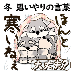 [LINEスタンプ] シュナウザーさん 2024『冬・思いやり』