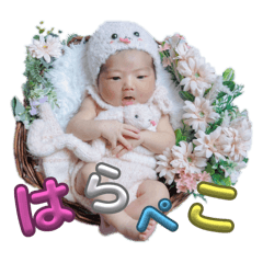 [LINEスタンプ] それゆけ！ベビ侍