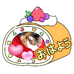 [LINEスタンプ] 冬の読み聞かせさんと猫スタンプ