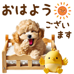 [LINEスタンプ] ▶飛び出るトイプードルのきづかい敬語