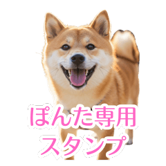 [LINEスタンプ] ぽんた専用スタンプ