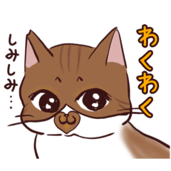 [LINEスタンプ] シミ付きねこpart2