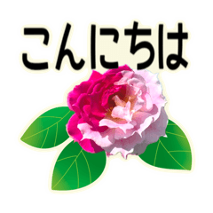 [LINEスタンプ] 大きめ文字の花スタンプ