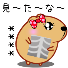 [LINEスタンプ] きゃぴばら女子部【病院・カスタム】