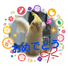 [LINEスタンプ] オカメのクーちゃんと一緒 2