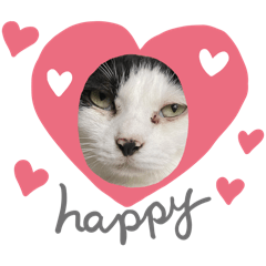 [LINEスタンプ] みい子からねえねへ15