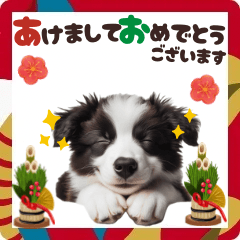 [LINEスタンプ] 2025 ボーダーコリー子犬