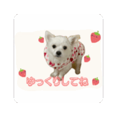 [LINEスタンプ] 癒されリリーの画像（メイン）