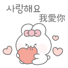 [LINEスタンプ] かわいいうさぎのトト(韓国語/台湾語)