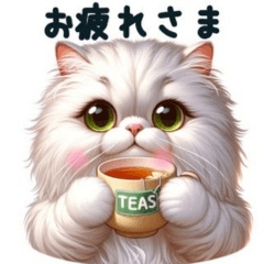 [LINEスタンプ] かわいいペルシャ猫のスタンプ