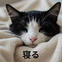 [LINEスタンプ] ねるにゃんこ