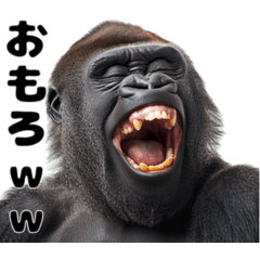 [LINEスタンプ] 笑うゴリラ