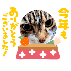 [LINEスタンプ] お正月読み聞かせさんと猫スタンプ4