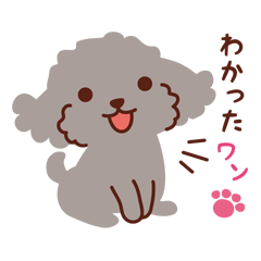 [LINEスタンプ] トイプードル色々_ たのしい日常